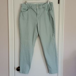 Women's Style & Co Curvy Skinny Leg Jeans